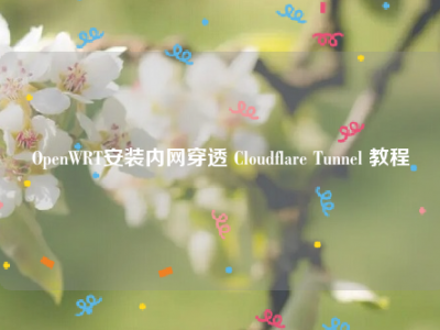 OpenWRT安装内网穿透 Cloudflare Tunnel 教程